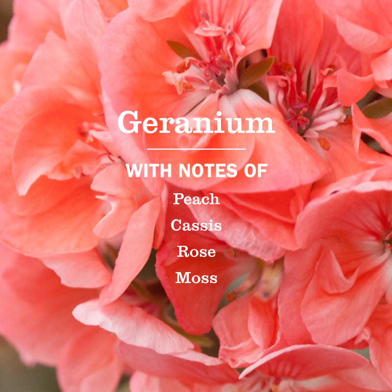 Geranium Kitchen Basics Set