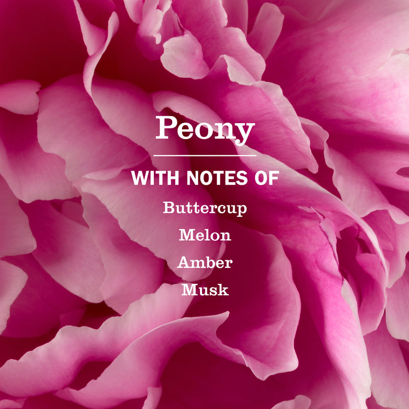 Peony Soy Candle Large