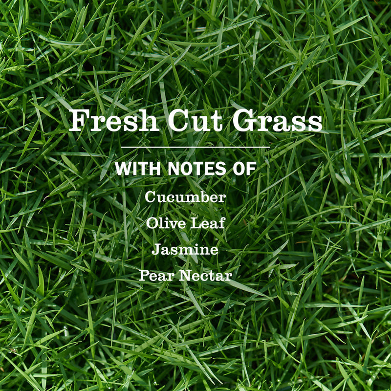 Fresh Cut Grass Liquid Dish Soap | Mrs. Meyer's