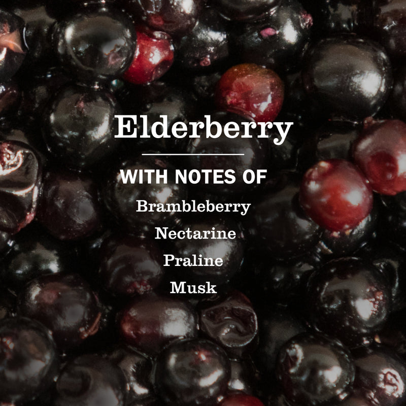 Elderberry Plug In Scented Oil Refill 2-Pack