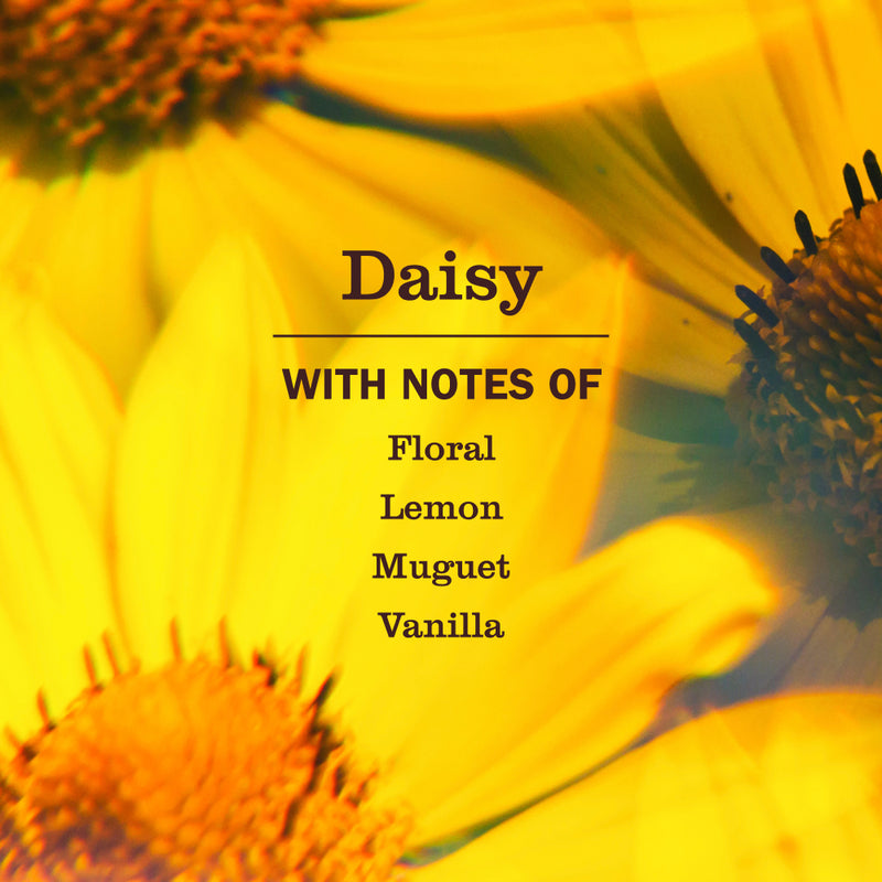 Daisy Multi-Surface Everyday Cleaner 3-count Bundle