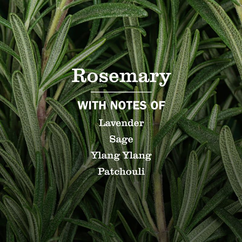 Rosemary Multi-Surface Everyday Cleaner
