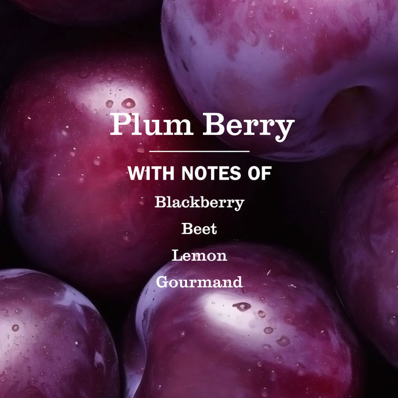Plum Berry Liquid Hand Soap &amp; Refill Set