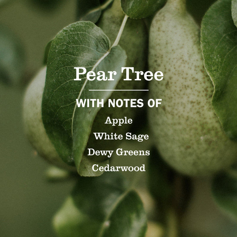 Pear Tree Multi-Surface Everyday Cleaner | Mrs. Meyer's