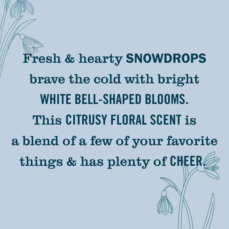 Snowdrop Plug In Scented Oil Warmer With Refill