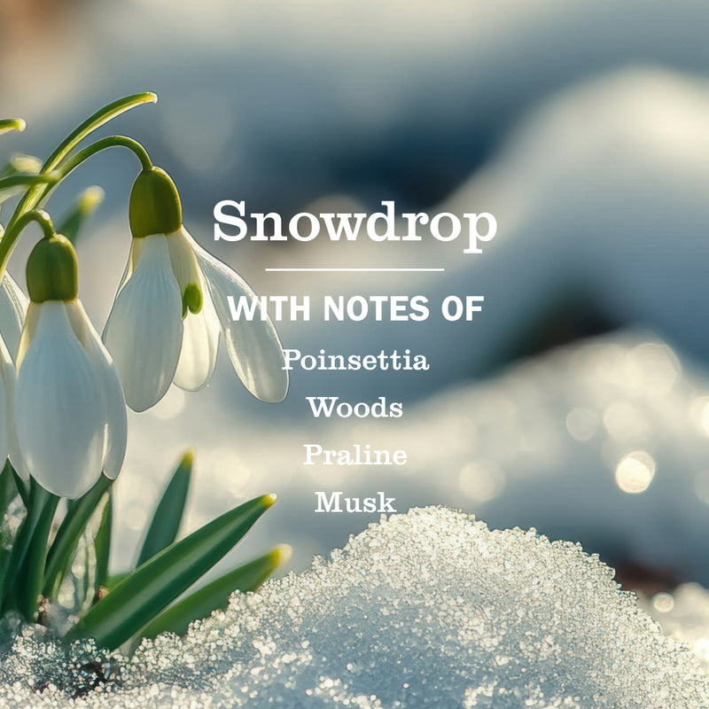 Snowdrop Plug In Scented Oil Warmer With Refill