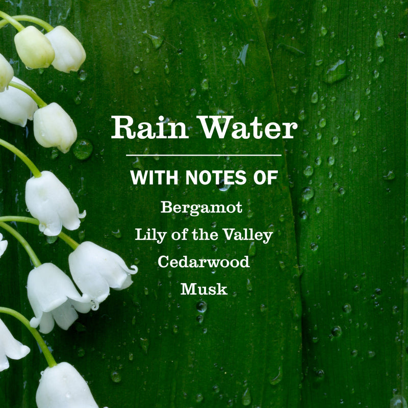 Rain Water Ultra Concentrated Laundry Detergent