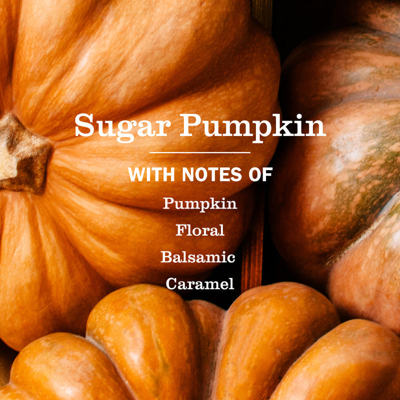 Sugar Pumpkin Plug In Scented Oil Warmer With Refill
