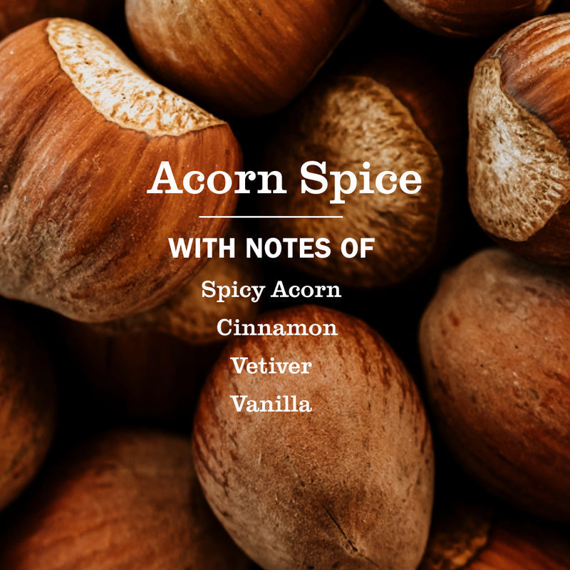 Acorn Spice Plug In Scented Oil Refill 2-Pack