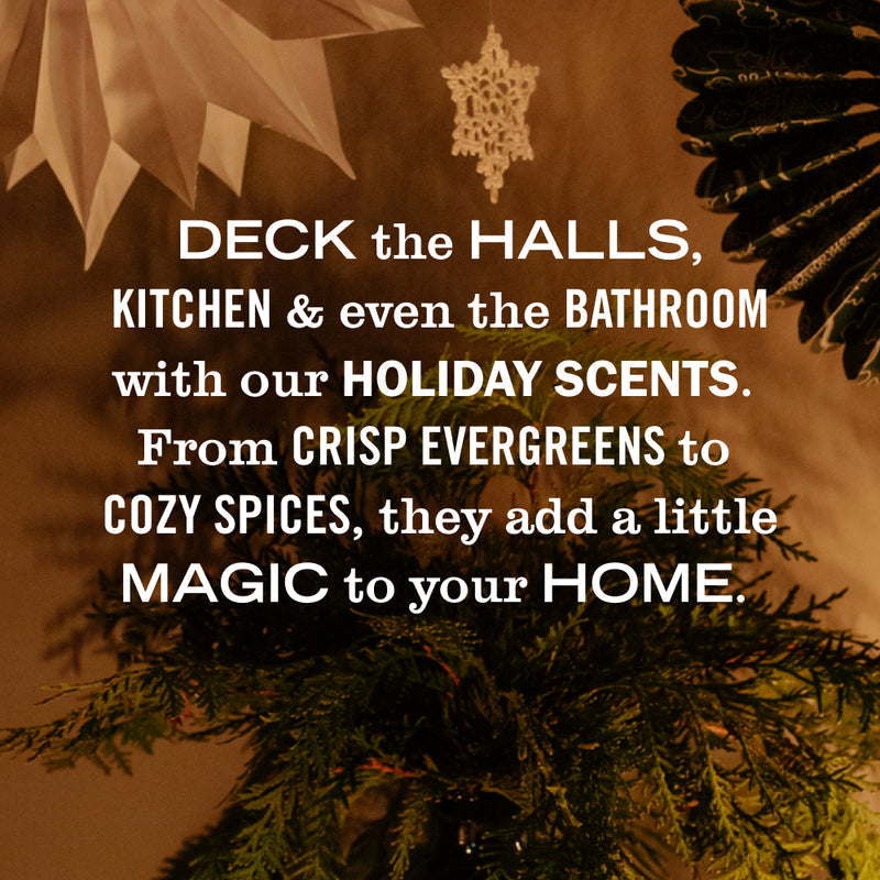 Holiday Seasonal Multi-Surface Everyday Cleaner Collection