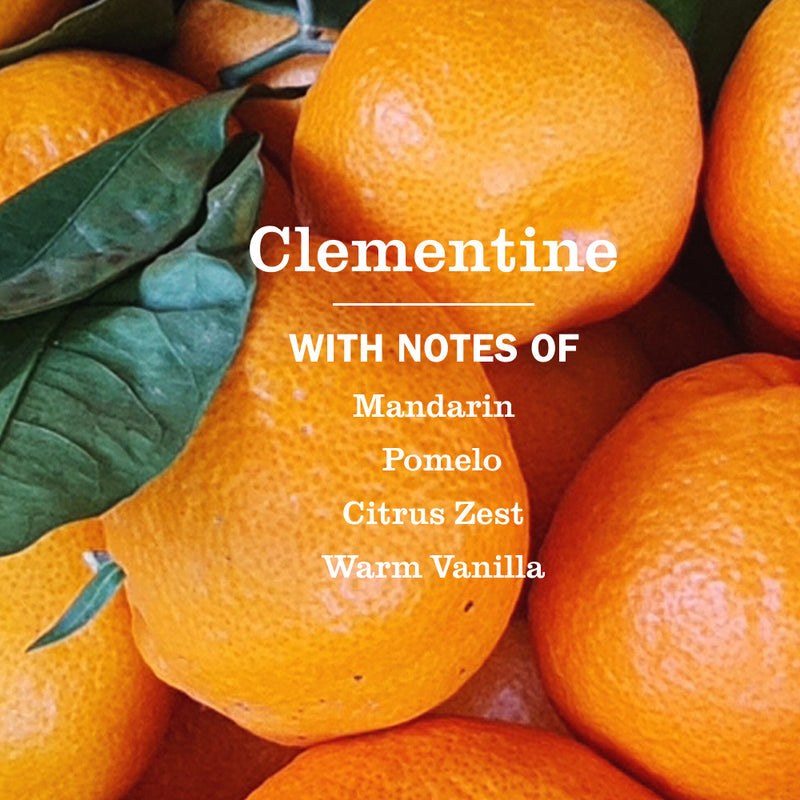 Clementine Multi-Surface Everyday Cleaner