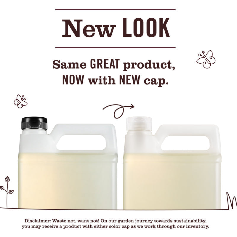 Lemon Verbena Dish Soap Refill