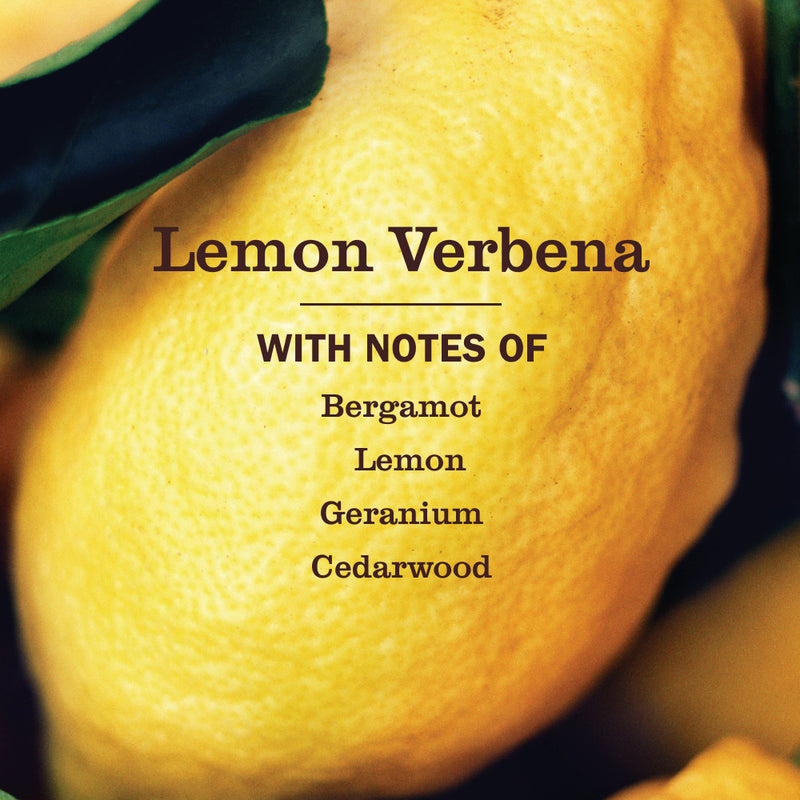 Lemon Verbena Laundry Detergent