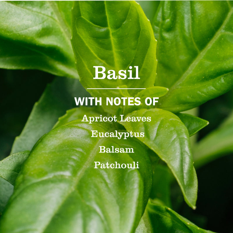 Basil Fabric Softener