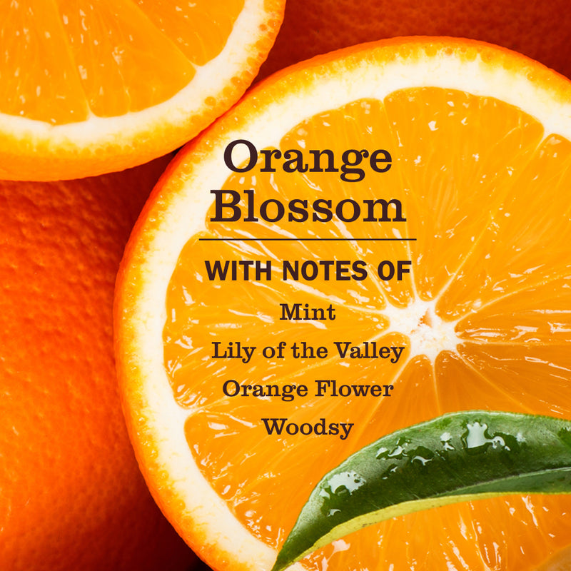 Orange Blossom Pet Odor Neutralizer