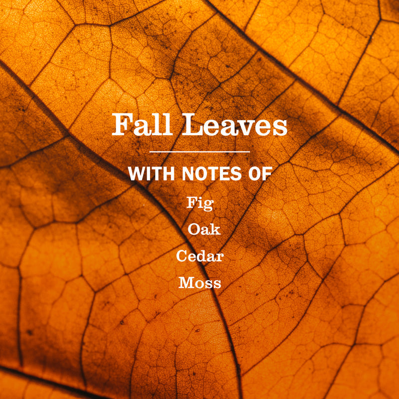 Fall Leaves Plug In Scented Oil Warmer With Refill