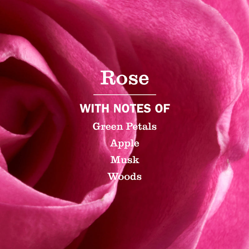 Rose Multi-Surface Everyday Cleaner 3-count Bundle