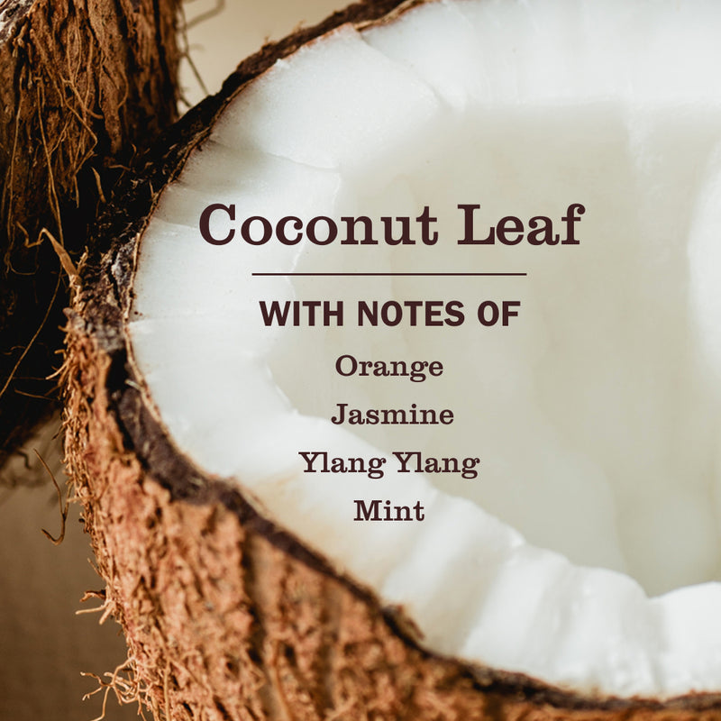 Coconut Leaf Pet Multi-Surface Cleaner