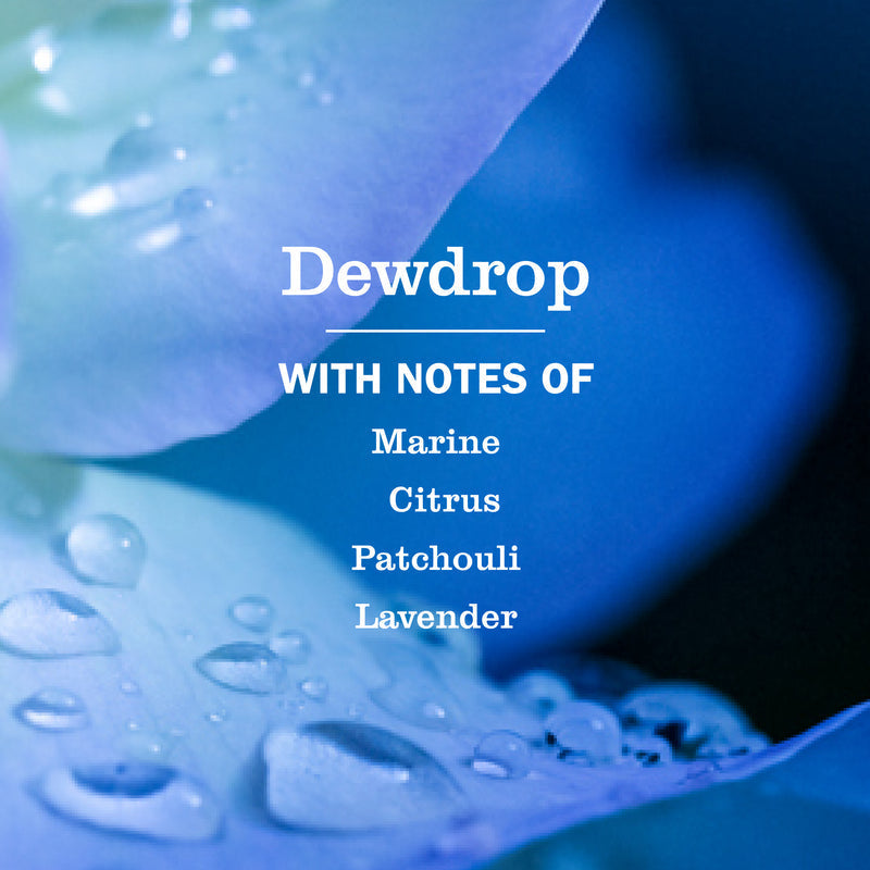 Dewdrop Room Freshener