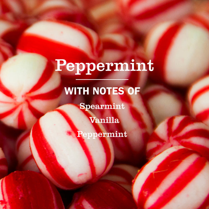 Peppermint Kitchen Basics Set