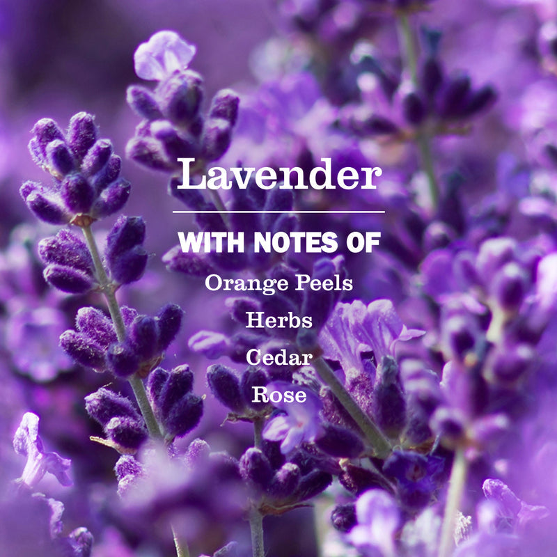Lavender Ultra Concentrated Laundry Detergent