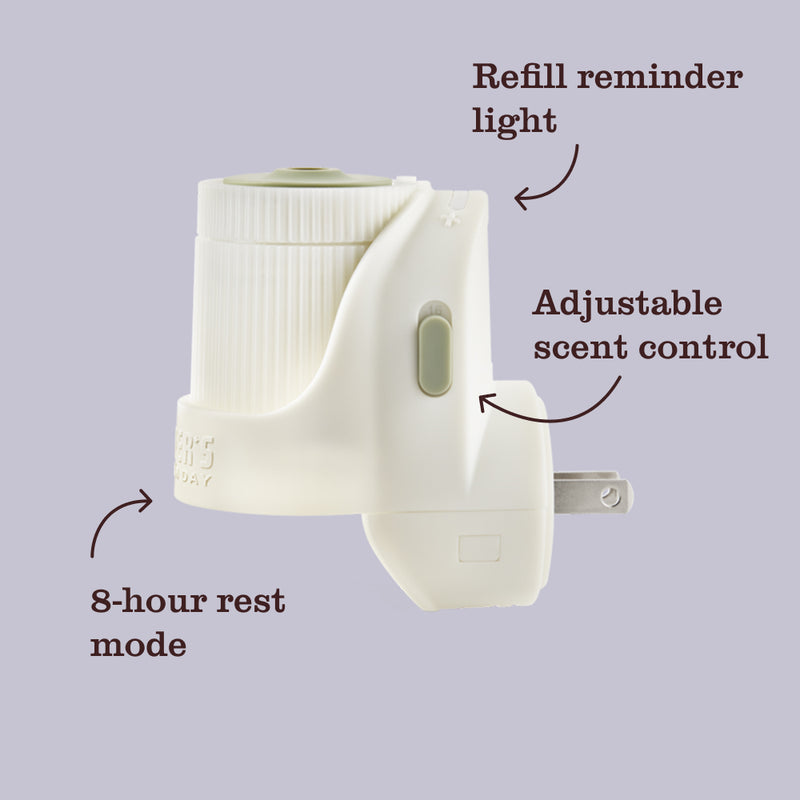 Fall Leaves Plug In Scented Oil Refill 2-Pack