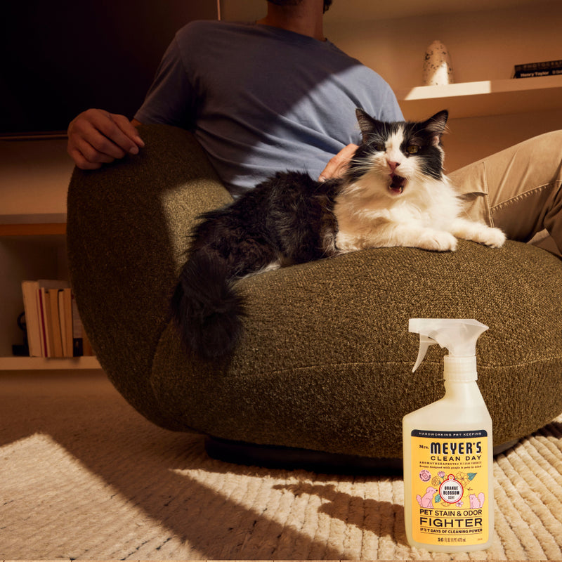 Orange Blossom Pet Stain &amp; Odor Fighter