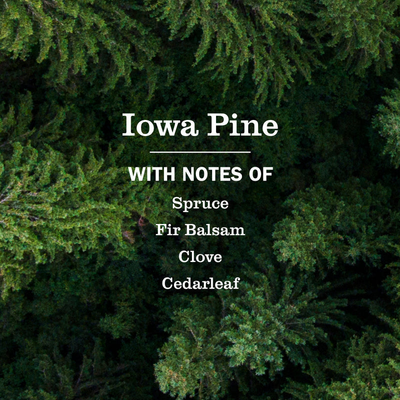 Iowa Pine Soy Candle Large