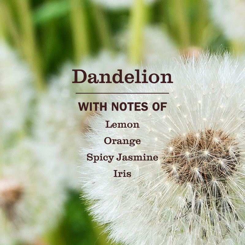 Dandelion Multi-Surface Everyday Cleaner 3-count Bundle