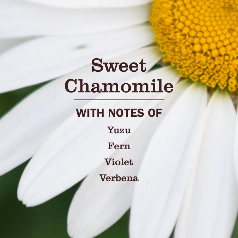 Sweet Chamomile Cat Deodorizing Spritz